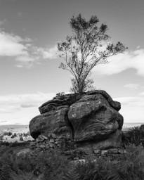 Brimham Rocks
 Hero
