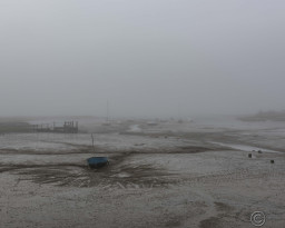 Holbrook Creek
 Hero